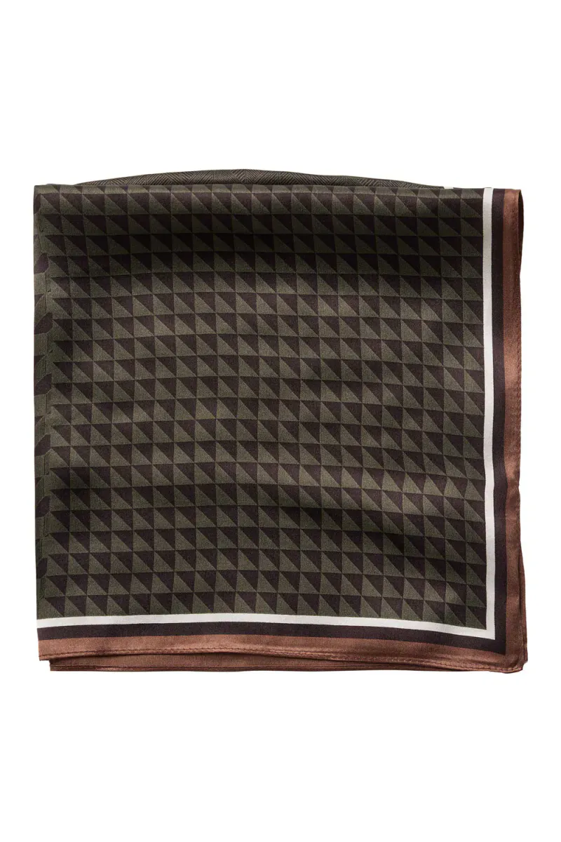 Shila Silk Scarf, Brown