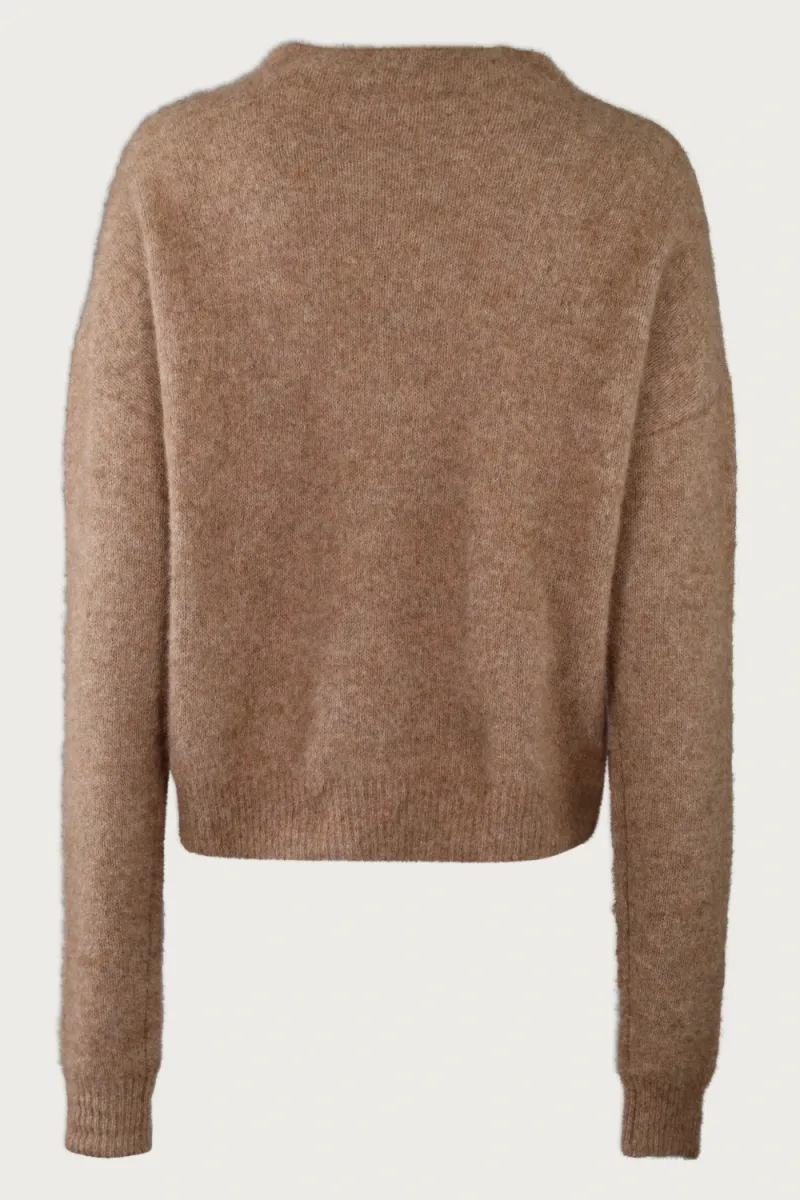 Utta, Dachshund Melange